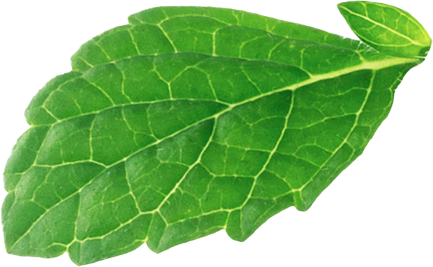 leaf decoration